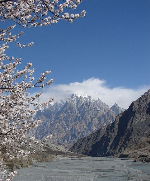 a picture of the mighty passy cones